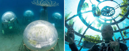 کشاورزی زیر دریا با «باغ نمو»؛ اولین باغ پرورش گیاه زیر دریای مدیترانه در عمق ۴.۵ متری