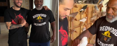 مایک تایسون نوه محمد علی کلی را به کبوترهای محبوبش معرفی کرد + ویدیو