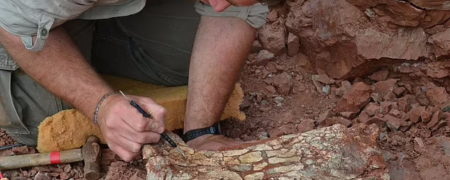 اژدهای مرگ به طول یک اتوبوس در آرژانتین کشف شد