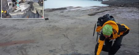 فسیل ۱۳۹ میلیون ساله ۴ متری با چند نوزاد در شکمش در شیلی کشف شد