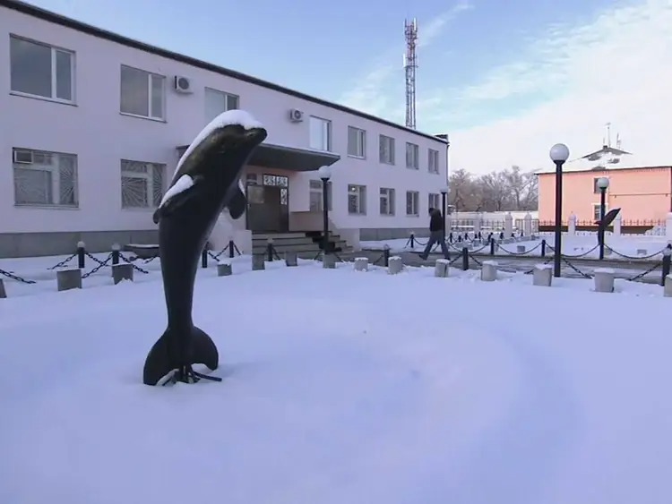 نگاهی به زندان ترسناک «دلفین سیاه» در روسیه؛ تنها راه فرار از این زندان، مرگ است
