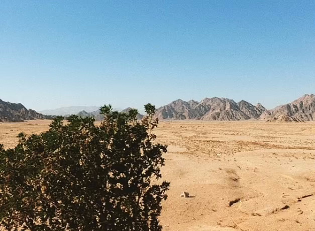 روایت کهنه سربازان ارتش امریکا از مواجهه با یوفوها در صحرای سینا + ویدیو