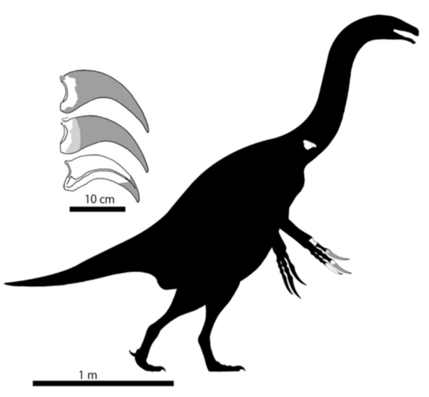 هیجان دانشمندان از کشف بقایای یک دایناسور دست قیچی