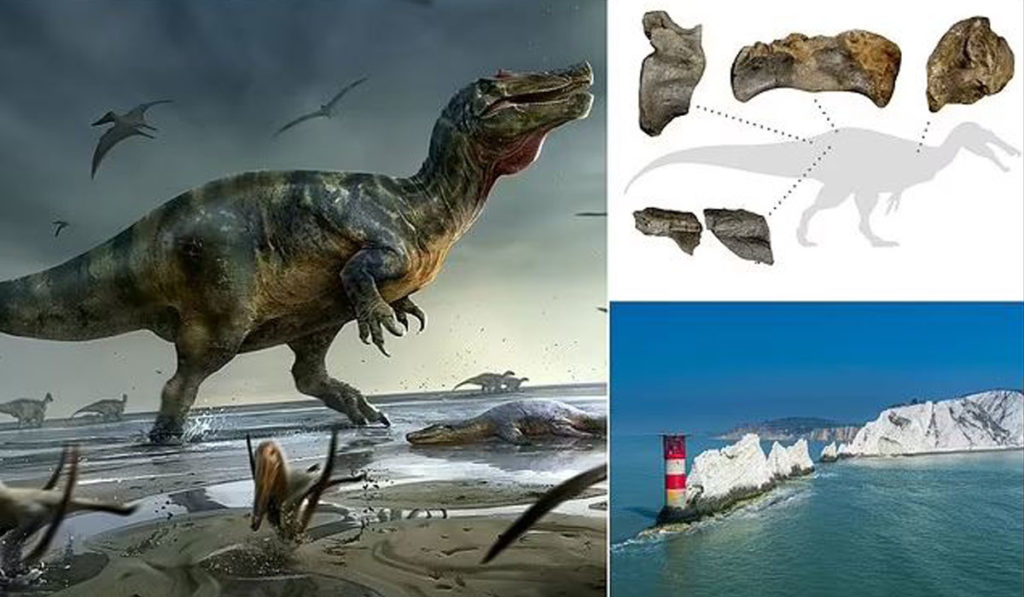 کشف دایناسوری با صورت شبیه کروکودیل که بزرگ ترین شکارچی خشکی قاره اروپا بوده است