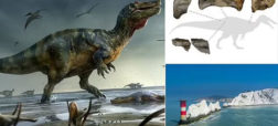 کشف دایناسوری با صورت شبیه کروکودیل که بزرگ ترین شکارچی خشکی قاره اروپا بوده است
