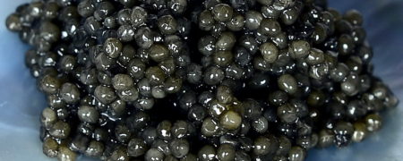 خاویار‌ سوروگا؛‌ خاویاری‌ با‌ دانه‌های‌ ریز ‌اما ‌پرخاصیت