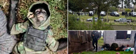 میمون قاچاقچی با جلیقه ضد گلوله سفارشی در تیراندازی کارتل با پلیس کشته شد