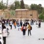 همه حواشی ماجرای جنجالی تجمع دهه نودی ها در بلوار چمران شیراز + ویدیو
