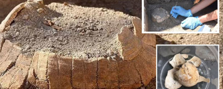 بقایای یک لاک پشت باردار ۲,۰۰۰ ساله و تخم آن در پمپئی کشف شد