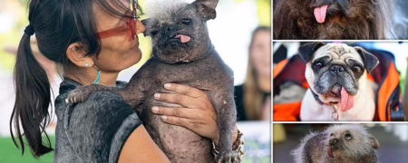 برنده مسابقه سالانه زشت ترین سگ جهان مشخص شد + تصاویر