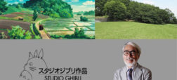 ماجرای کمپین ژاپنی برای حفظ «جنگل توتورو» جنگل الهام بخش انیمیشن هایائو میازاکی چیست؟