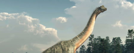 چرا دیگر حیوانات غول پیکر در طبیعت وحشی وجود ندارند؟