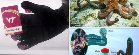 octa-glove؛ دستکشی با الهام از اختاپوس که به گرفتن اشیاء در زیر آب کمک می کند + ویدیو