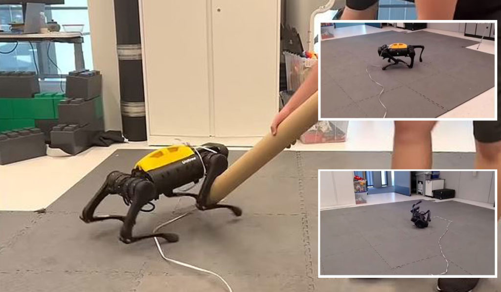 سگ رباتیک جدید با آزمون و خطا خودش راه رفتن را یاد می گیرد + ویدیو