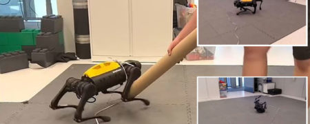 سگ رباتیک جدید با آزمون و خطا خودش راه رفتن را یاد می گیرد + ویدیو