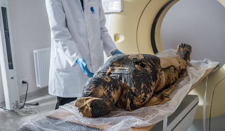 علت مرگ اولین مومیایی باردار کشف شده از مصر باستان سرطان بوده است