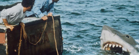 چرا مردم تا به این اندازه از کوسه ها وحشت دارند؟ دانشمندان پاسخ می دهند