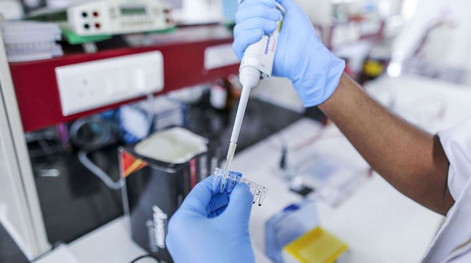 سلاح‌ های زیستی جدید که با استفاده از DNA ساخته می شوند