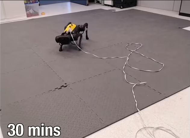 سگ ربات خودآموز خودش راه رفتن را یاد می گیرد