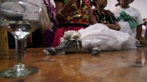ازدواج شهردار مکزیکی با تمساح