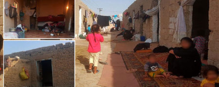 حاشیه نشینان شهر اصفهان برای زندگی در اصطبل و گاوداری اجاره پرداخت می کنند