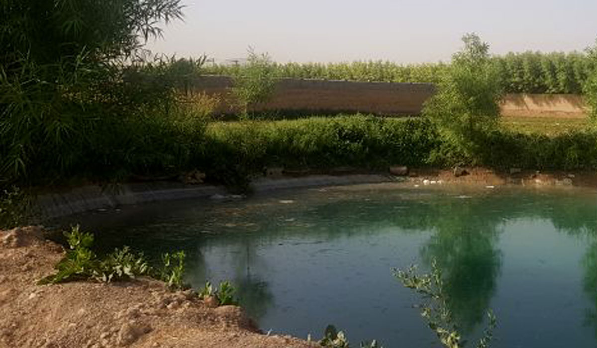 مردم فقیر حاشیه نشین اصفهان زندگی در اصطبل و گاوداری را تجربه می کنند