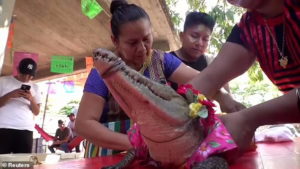 ازدواج عجیب شهردار مکزیکی با یک حیوان وحشی!