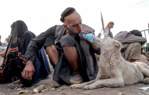 پاتوق معتادان در کابل که حتی سگ هایش هم معتاد هستند