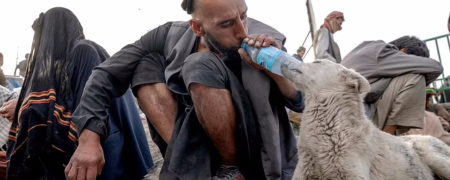 جهنم هرویین در پایتخت طالبان؛ پاتوق هایی که حتی سگ هایش هم معتاد هستند