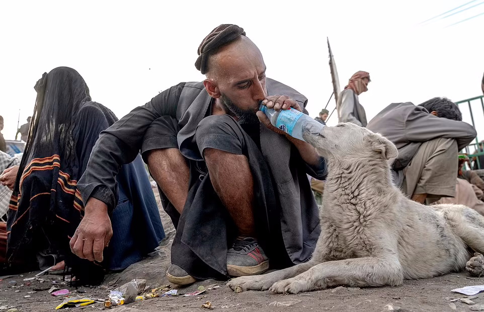 جهنم هرویین در پایتخت طالبان؛ پاتوق هایی که حتی سگ هایش هم معتاد هستند