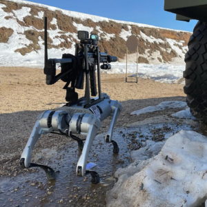 سگ رباتیک جنگی روسی با مسلسلی روی پشت و قیمت 3000 دلار
