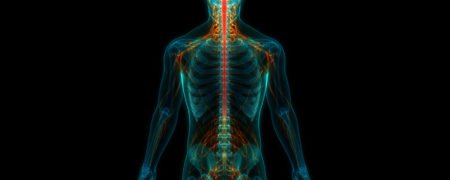 ۱۰ حقیقت جالب درباره بدن انسان که درک شما از بدنتان را تغییر می‌دهد