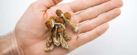 هشدار برای عوارض جانبی داروهای روانگردان؛ از بی‌اشتهایی ساده تا توهم و روان‌پریشی حاد