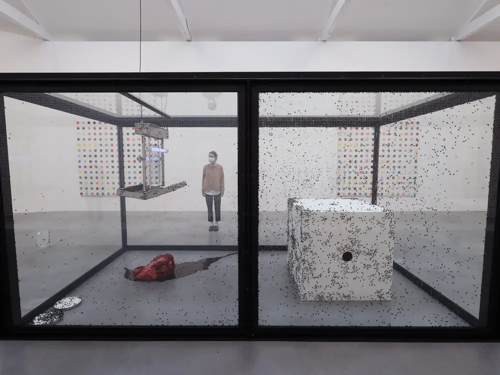 نمایش سازه هنری جنجالی «قتل مگس‌ها» در موزه ای در آلمان متوقف شد