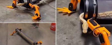 تصاویر اختراع عجیبی که به مارها اجازه می دهد راه بروند + ویدیو