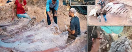 بزرگترین دایناسور ساروپود اروپا در حیاط خانه ای در پرتغال کشف شد