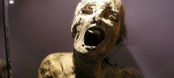 ماجرای موزه مومیایی های اجساد مکزیکی چیست؟
