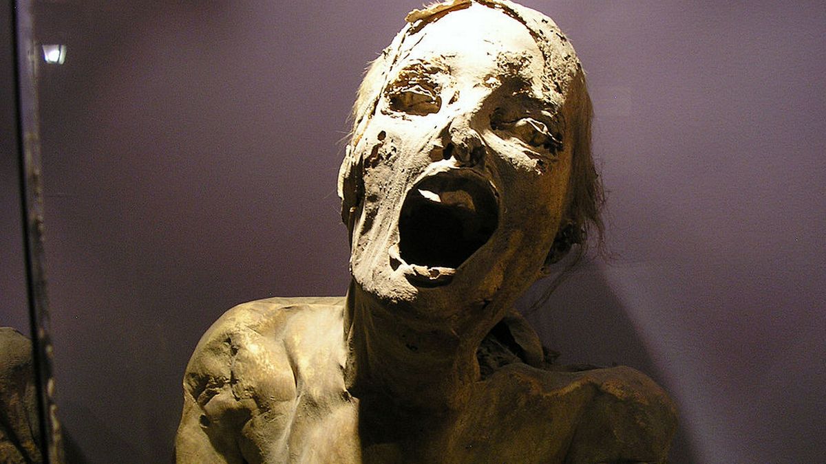 ماجرای موزه مومیایی های اجساد مکزیکی چیست؟
