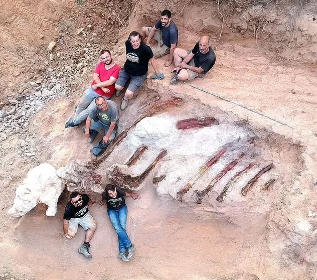 فسیل تازه کشف شده در پرتغال متعلق به کدام دایناسور است؟