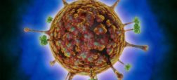 شیوع ویروس جدید «لانگیا» باز هم در چین؛ آیا همه گیری بزرگ دیگری در راه است؟