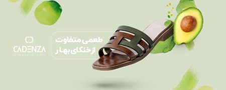 معرفی کفش های زنانه جذابی که هوش از سر خانم ها می‌برد