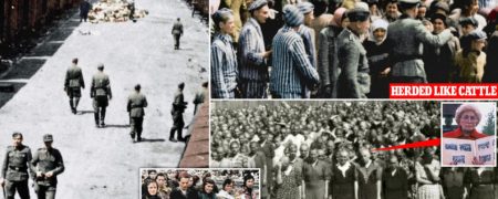 تصاویر نادر از خوشگذرانی افسران نازی در کمپ آشوویتز که ۱.۱ میلیون نفر در آن کشته شدند