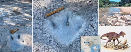 کشف ردپای دایناسور ۱۱۳ میلیون ساله در تگزاس به دلیل وقوع خشکسالی