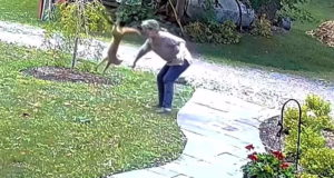 لحظه حمله روباه هار به زنی در حیاط خانه اش