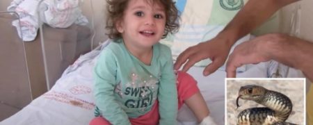 کودک ۲ ساله مار نیم متری که نیشش زده بود را با دندان‌هایش کشت