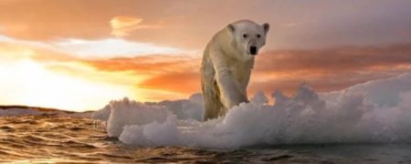 ششمین انقراض دسته جمعی زمین چه زمانی اتفاق می افتد؟