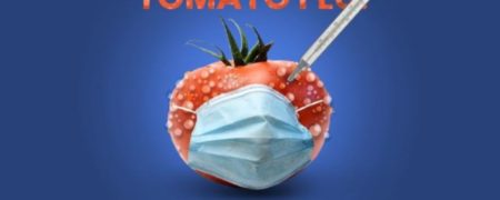 «آنفلوانزای گوجه فرنگی» چیست و چه علائمی دارد؟