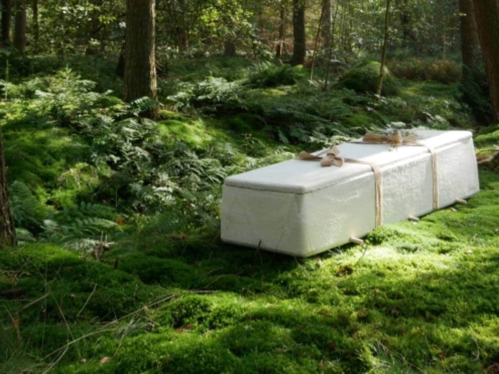تابوت‌ های وهم‌آور «قارچ زنده»؛ آینده تشییع جنازه و دفن اموات به روش تجزیه در محیط زیست