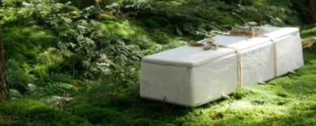 تابوت‌ های وهم‌آور «قارچ زنده»؛ آینده تشییع جنازه و دفن اموات به روش تجزیه در محیط زیست