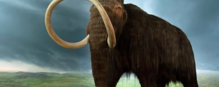 آیا امکان زنده کردن حیوانات منقرض شده و بازگرداندن آنها به حیات وجود دارد؟